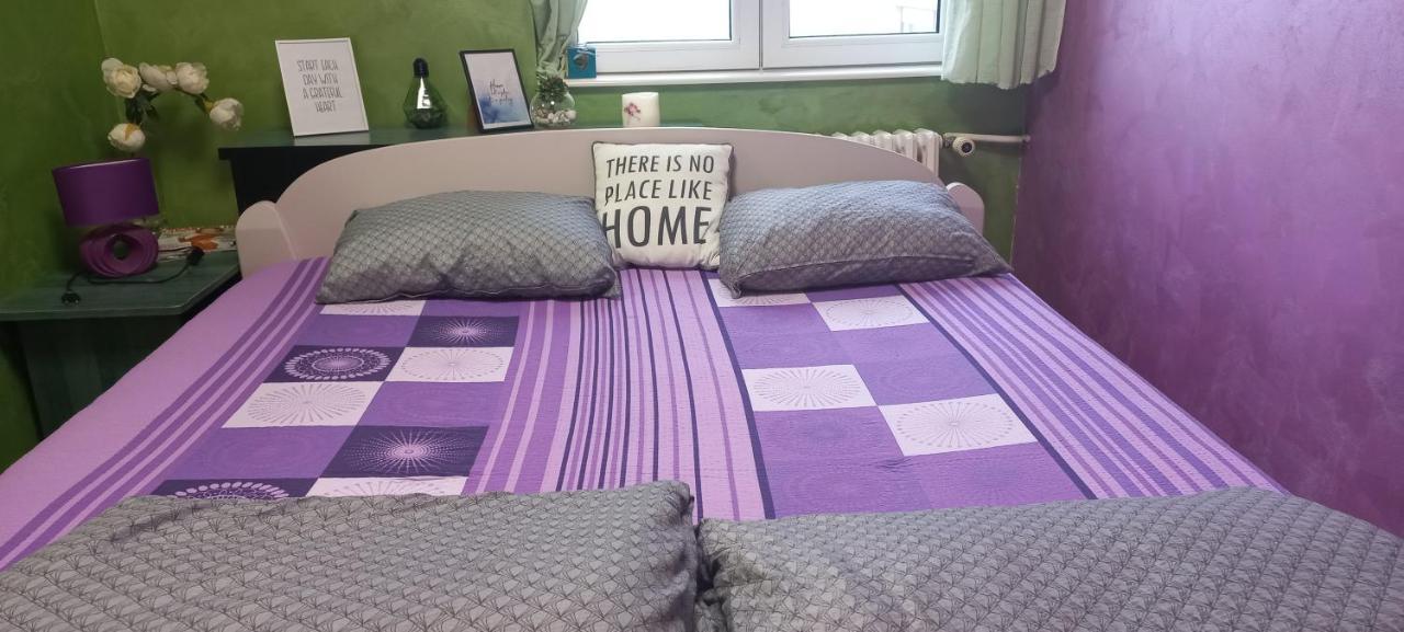 Sweet Home Danube Liman Apartment โนวีซาด ภายนอก รูปภาพ