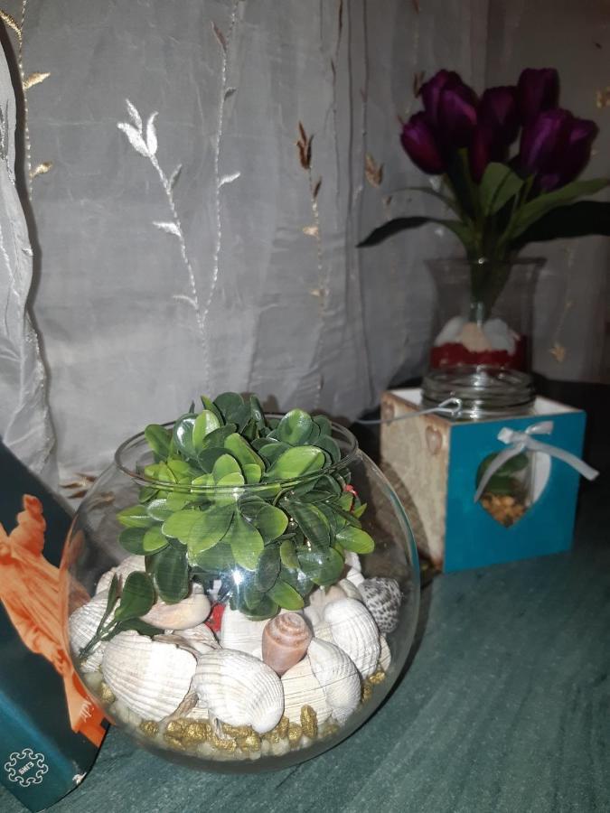 Sweet Home Danube Liman Apartment โนวีซาด ภายนอก รูปภาพ