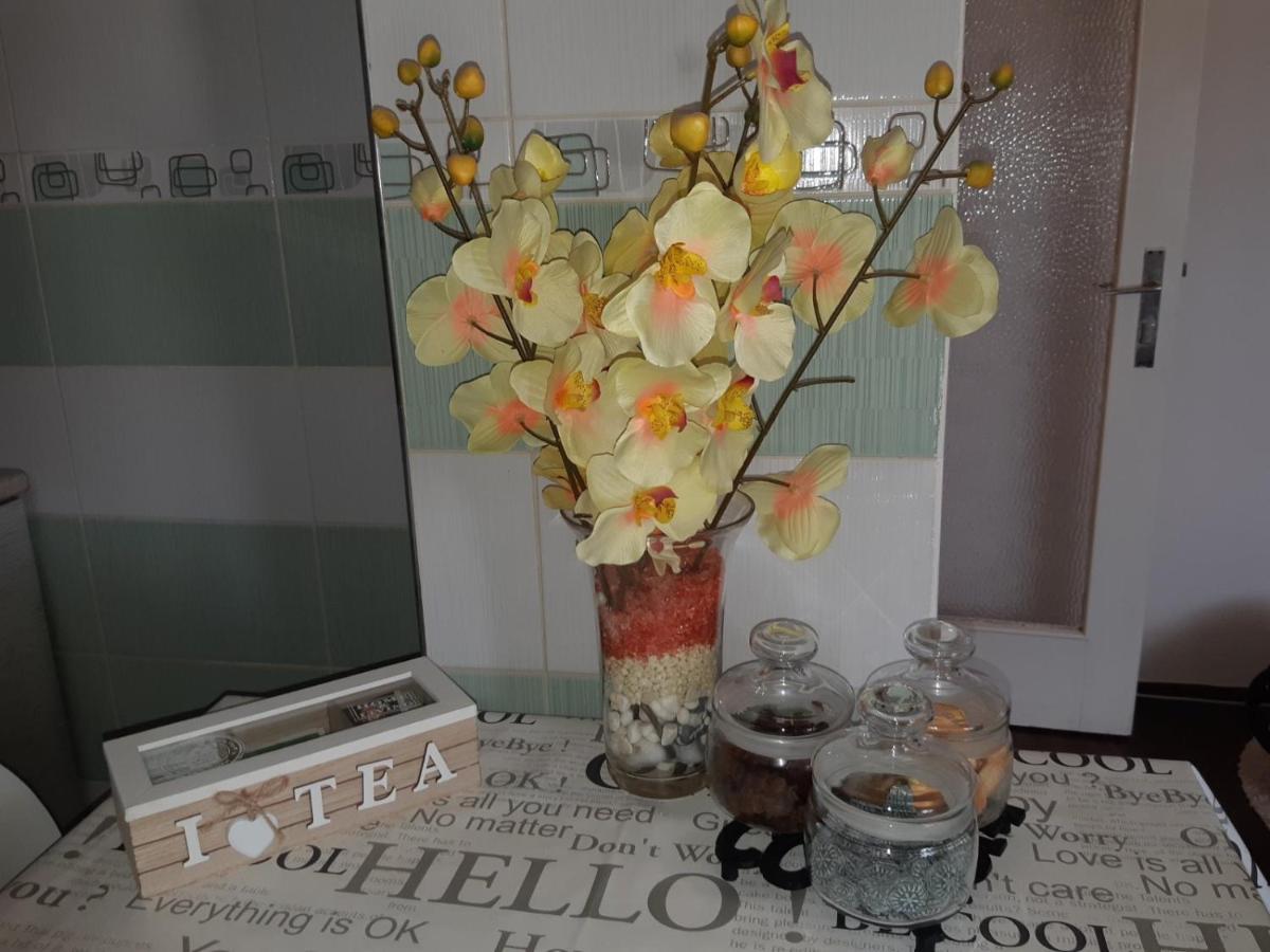 Sweet Home Danube Liman Apartment โนวีซาด ภายนอก รูปภาพ